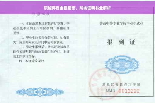 职称评定全程指南，所需证明书全解析