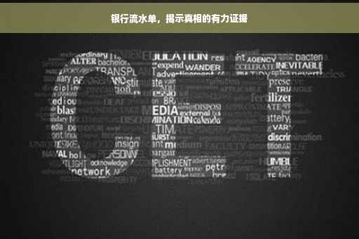 银行流水单，揭示真相的有力证据