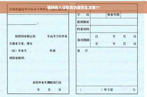 揭秘收入证明真伪鉴别全攻略??