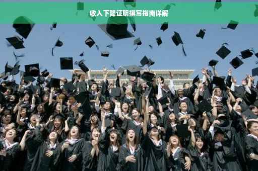 收入下降证明撰写指南详解