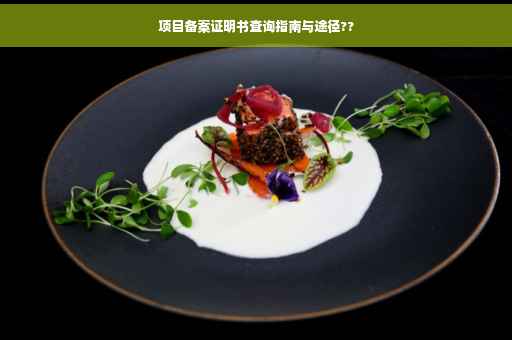 项目备案证明书查询指南与途径??