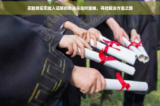 买新房后无收入证明的挑战与应对策略，寻找解决方案之路