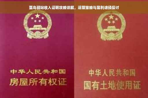 菜鸟驿站收入证明攻略详解，运营策略与盈利途径探讨