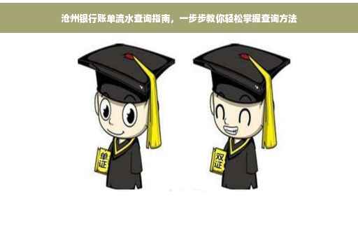 沧州银行账单流水查询指南，一步步教你轻松掌握查询方法