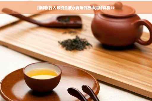 揭秘银行入账资金流水背后的故事揭秘真相??
