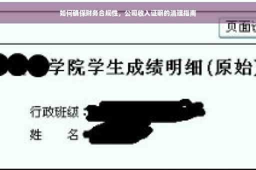 如何确保财务合规性，公司收入证明的清理指南