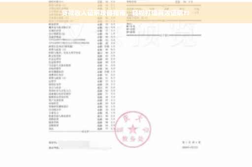 贷款收入证明攻略指南，轻松打造高效证明??