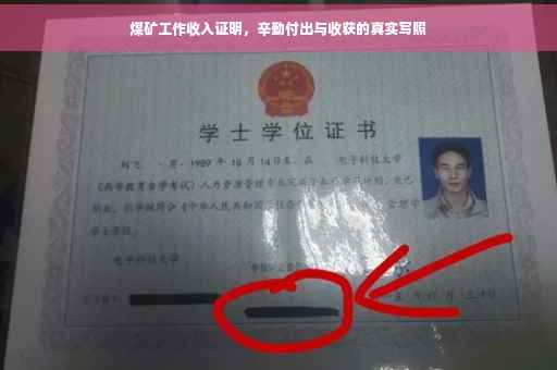 煤矿工作收入证明，辛勤付出与收获的真实写照