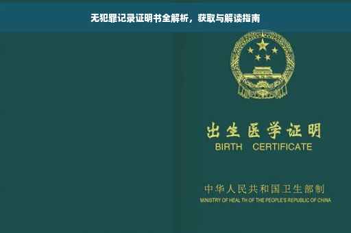 无犯罪记录证明书全解析，获取与解读指南