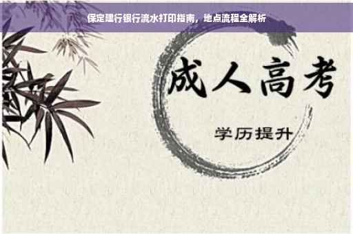 保定建行银行流水打印指南，地点流程全解析