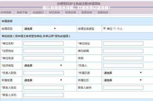 银行自存流水详解，打造合格记录攻略！