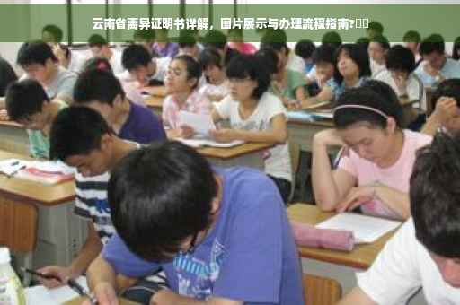 云南省离异证明书详解，图片展示与办理流程指南?⚡️
