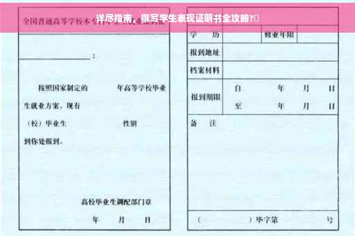 详尽指南，撰写学生表现证明书全攻略?✨