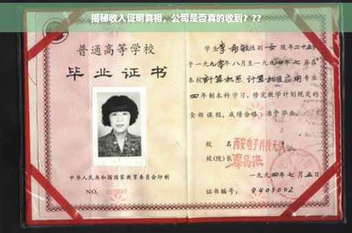 揭秘收入证明真相，公司是否真的收到？??