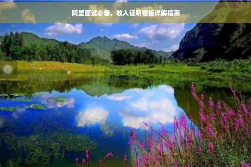 阿里面试必备，收入证明模板详解指南