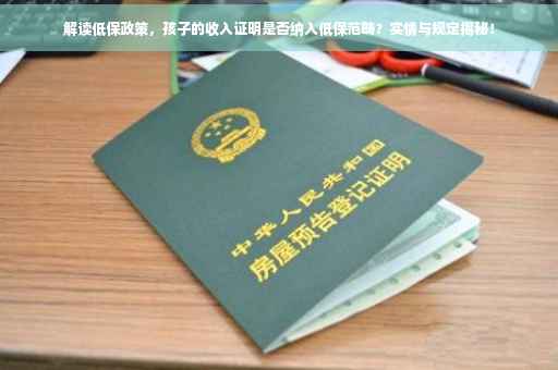 解读低保政策，孩子的收入证明是否纳入低保范畴？实情与规定揭秘！