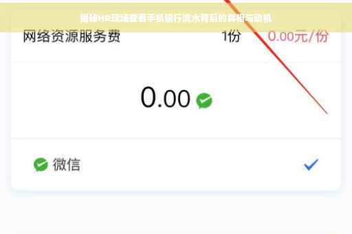 揭秘HR现场查看手机银行流水背后的真相与动机