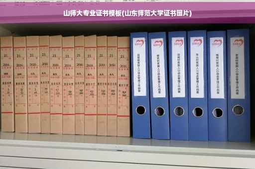 山师大专业证书模板(山东师范大学证书图片)