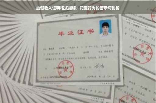 虚假收入证明格式揭秘，犯罪行为的警示与剖析