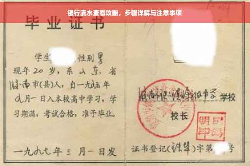 银行流水查看攻略，步骤详解与注意事项