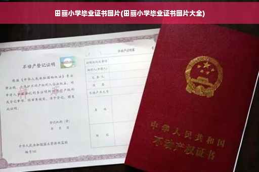 田丽小学毕业证书图片(田丽小学毕业证书图片大全)