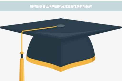 精神疾病的证明书图片及其重要性解析与探讨