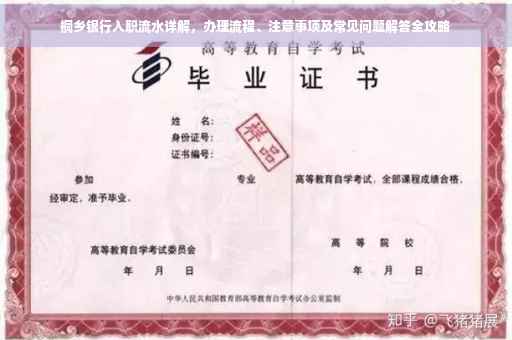 桐乡银行入职流水详解，办理流程、注意事项及常见问题解答全攻略