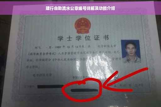 建行自助流水公章编号详解及功能介绍