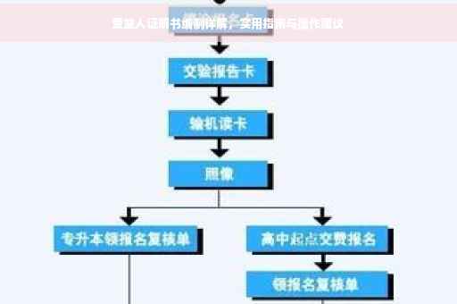 受益人证明书编制详解，实用指南与操作建议