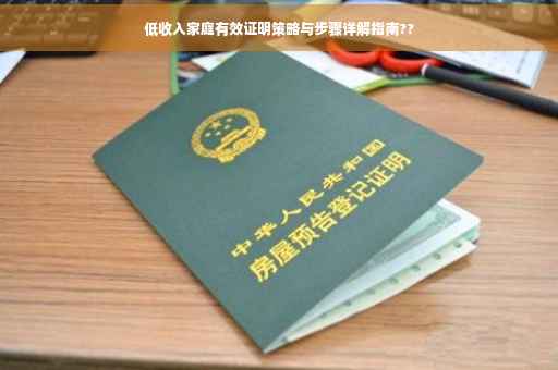 低收入家庭有效证明策略与步骤详解指南??