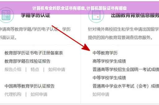 计算机专业的职业证书有哪些,计算机国际证书有哪些