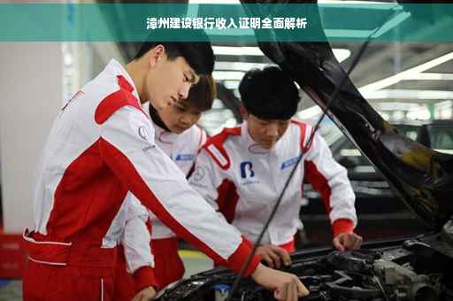 漳州建设银行收入证明全面解析