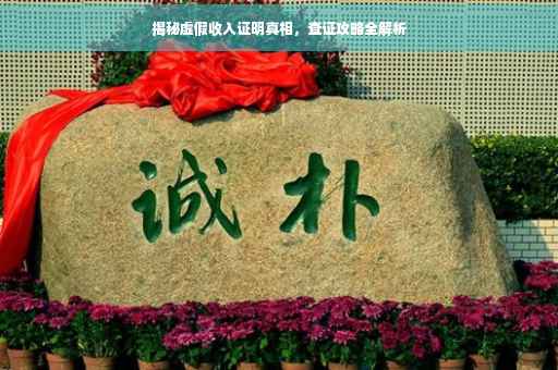 揭秘虚假收入证明真相，查证攻略全解析
