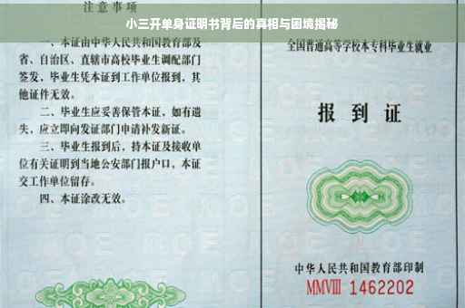 小三开单身证明书背后的真相与困境揭秘