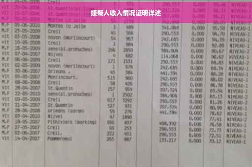 嫌疑人收入情况证明详述