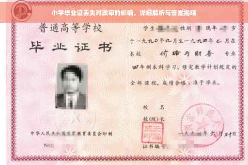 小学毕业证丢失对政审的影响，详细解析与答案揭晓