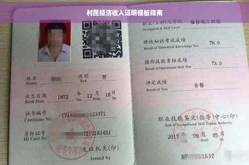 村民经济收入证明模板指南