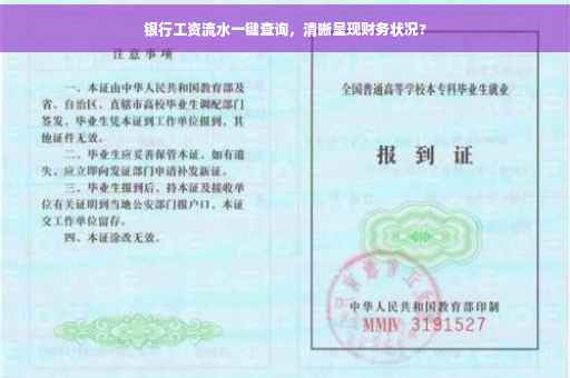 银行工资流水一键查询，清晰呈现财务状况?