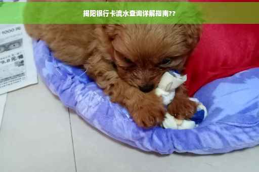 揭阳银行卡流水查询详解指南??