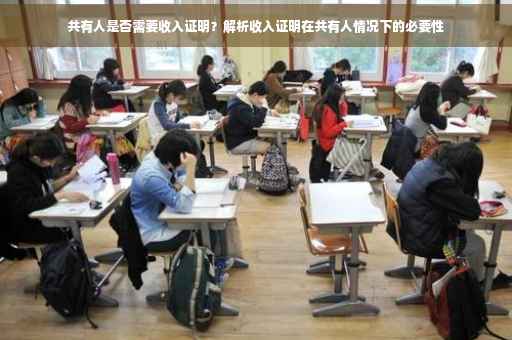 共有人是否需要收入证明？解析收入证明在共有人情况下的必要性