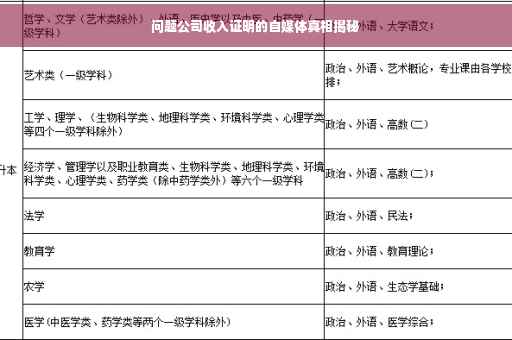 问题公司收入证明的自媒体真相揭秘