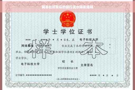 网易社招背后的银行流水秘密揭晓