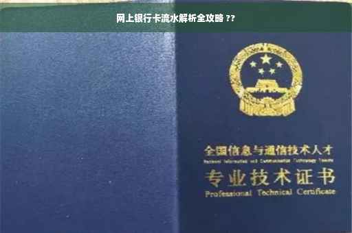 网上银行卡流水解析全攻略 ??