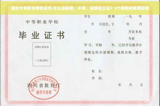适合大专男生考的证书,什么是初级，中级，高级技工证？3个级别的都要回答