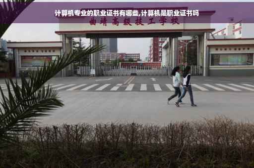 计算机专业的职业证书有哪些,计算机是职业证书吗