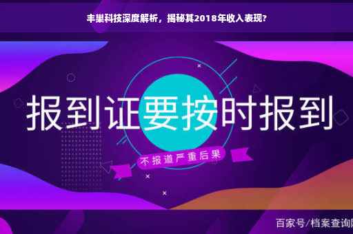 丰巢科技深度解析，揭秘其2018年收入表现?