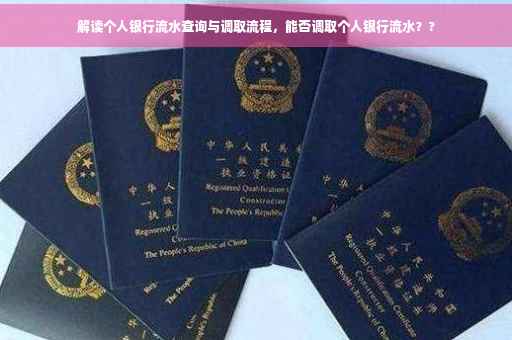 解读个人银行流水查询与调取流程，能否调取个人银行流水？?