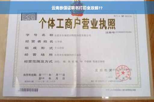 云南参保证明书打印全攻略??