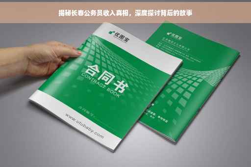 揭秘长春公务员收入真相，深度探讨背后的故事
