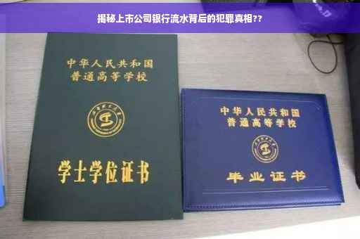 揭秘上市公司银行流水背后的犯罪真相??
